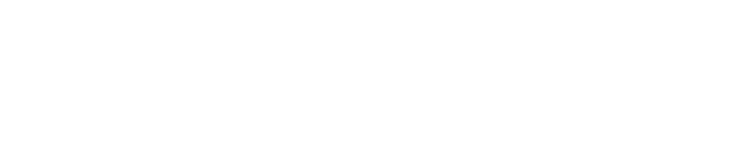 Texwin_logo_white-1